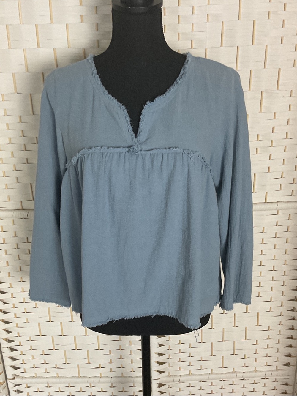 aerie Light Blue Frayed V-Neck Crop Top